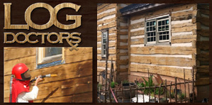 Log Home Repair 